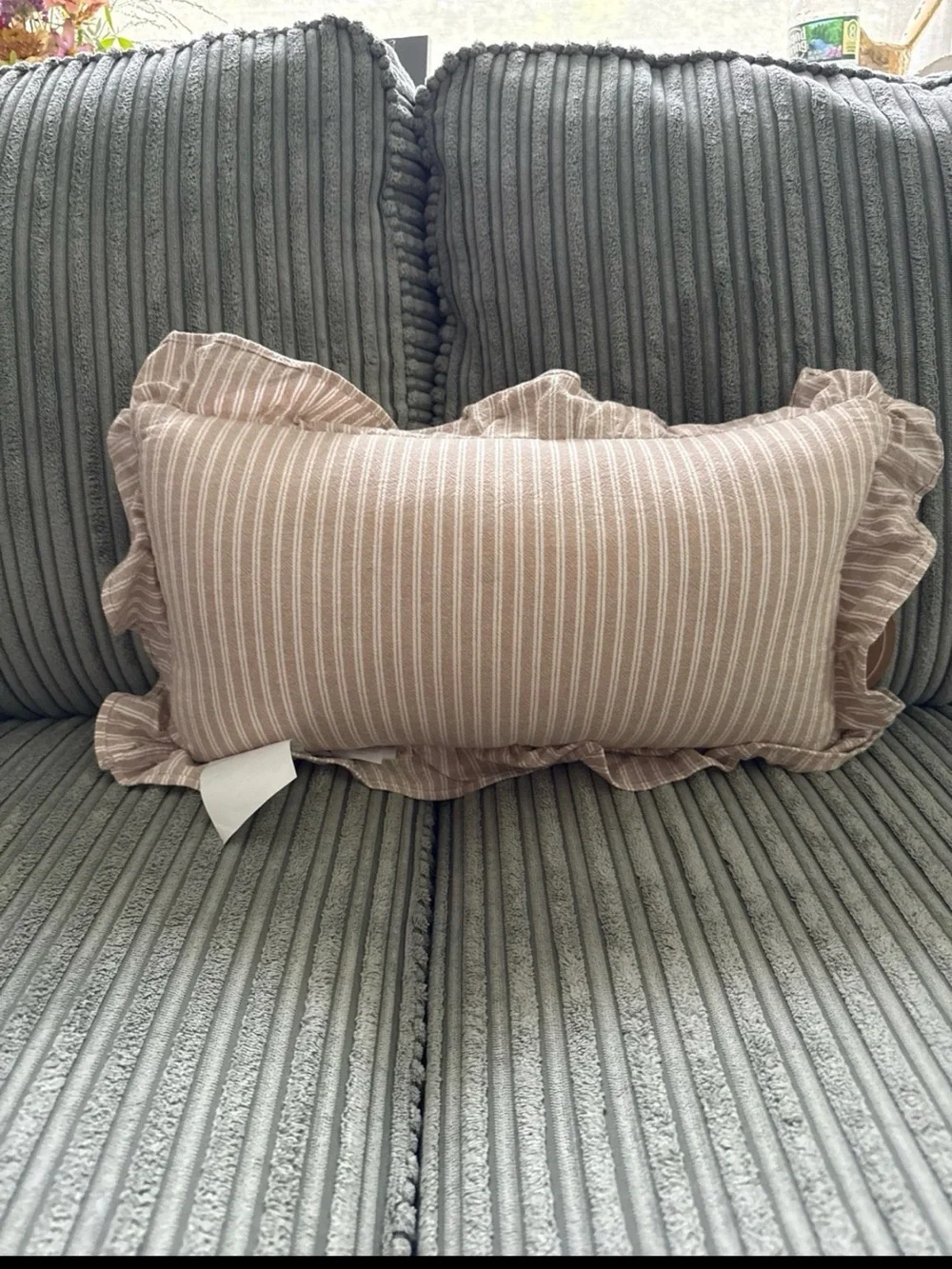T.J.Maxx Taupe Striped 'Booked & Busy' Ruffled Pillow